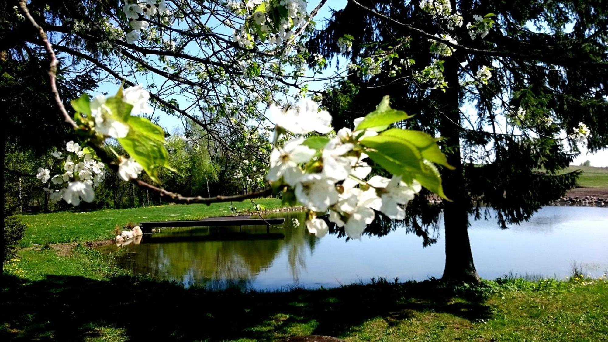 Dworek Szarki Exteriör bild