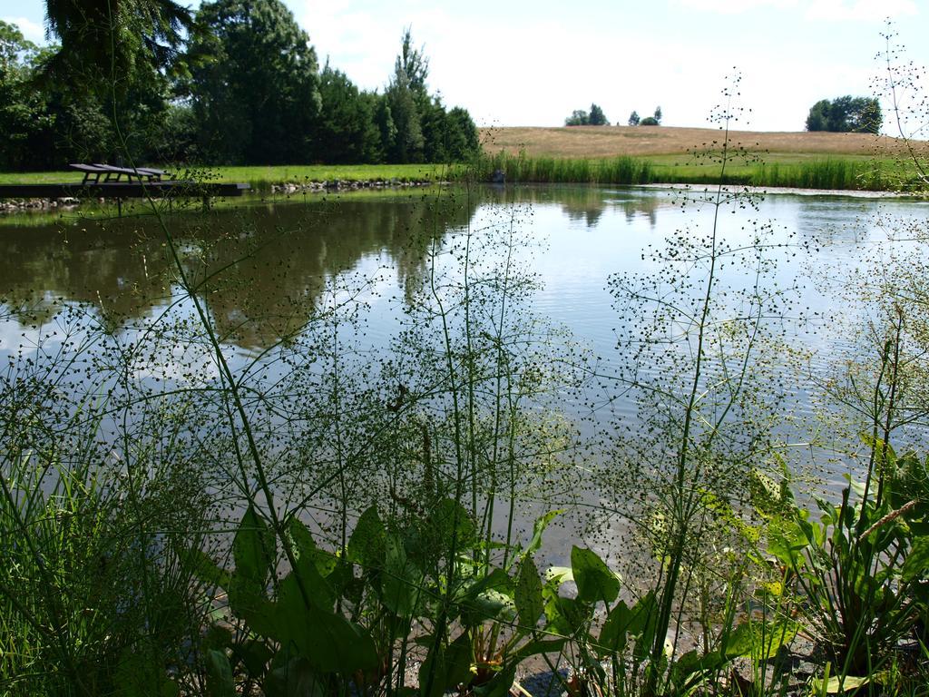 Dworek Szarki Exteriör bild
