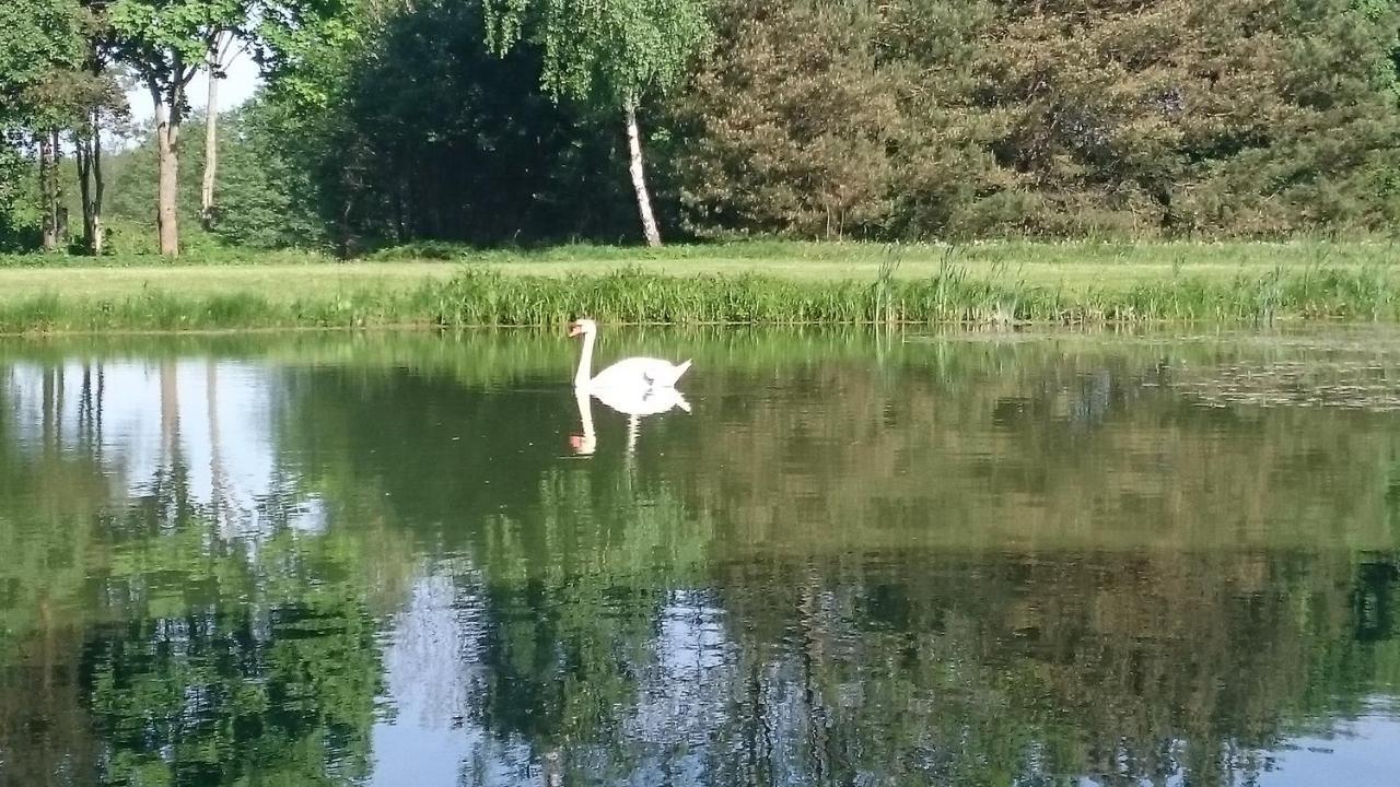 Dworek Szarki Exteriör bild